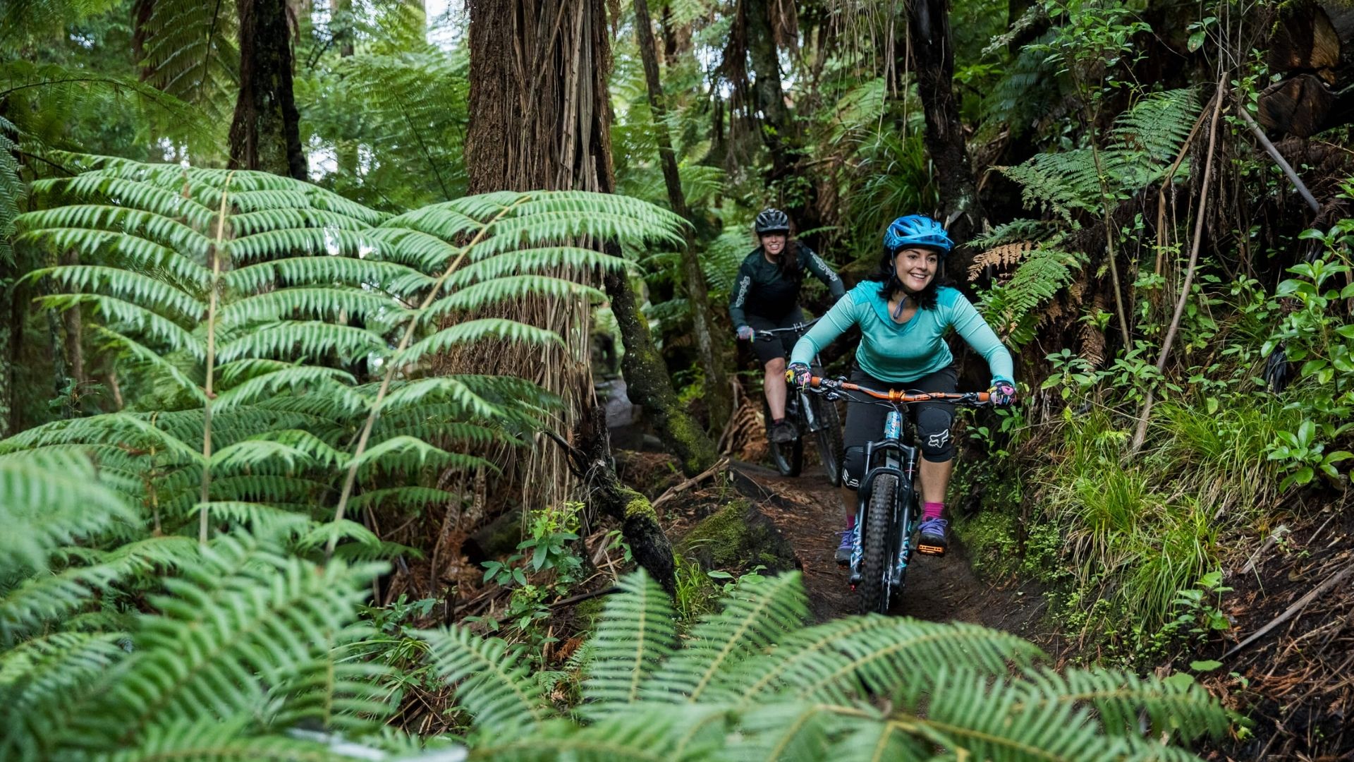 Whakarewarewa Forest (the Redwoods) Mountain Biking | Rotorua NZ