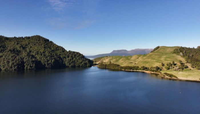 Lake-Okareka-Spring-700x400.jpg