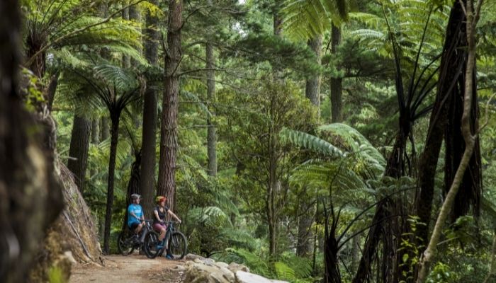 Gear up for a great ride in Rotorua Gear up for a great ride in Rotorua
