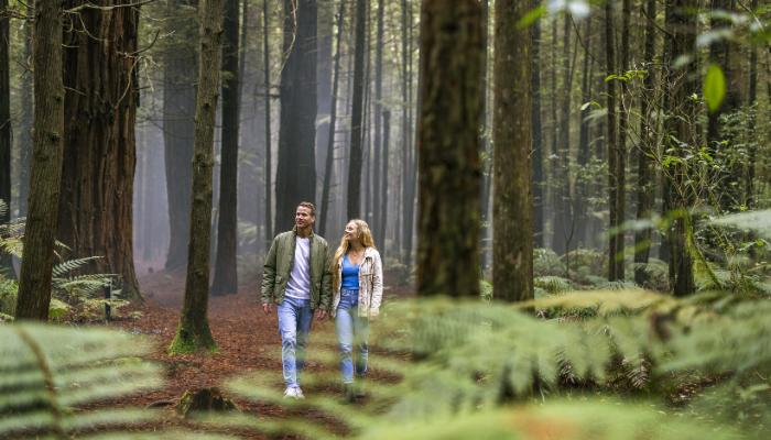 Free things to do in Rotorua Free things to do in Rotorua